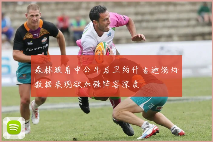 森林狼看中公牛后卫约什吉迪场均数据表现欲加强阵容深度